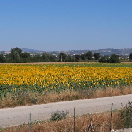 Appartamento Di Claudia In Campagna, Locazione Turistica Spoleto Kültér fotó