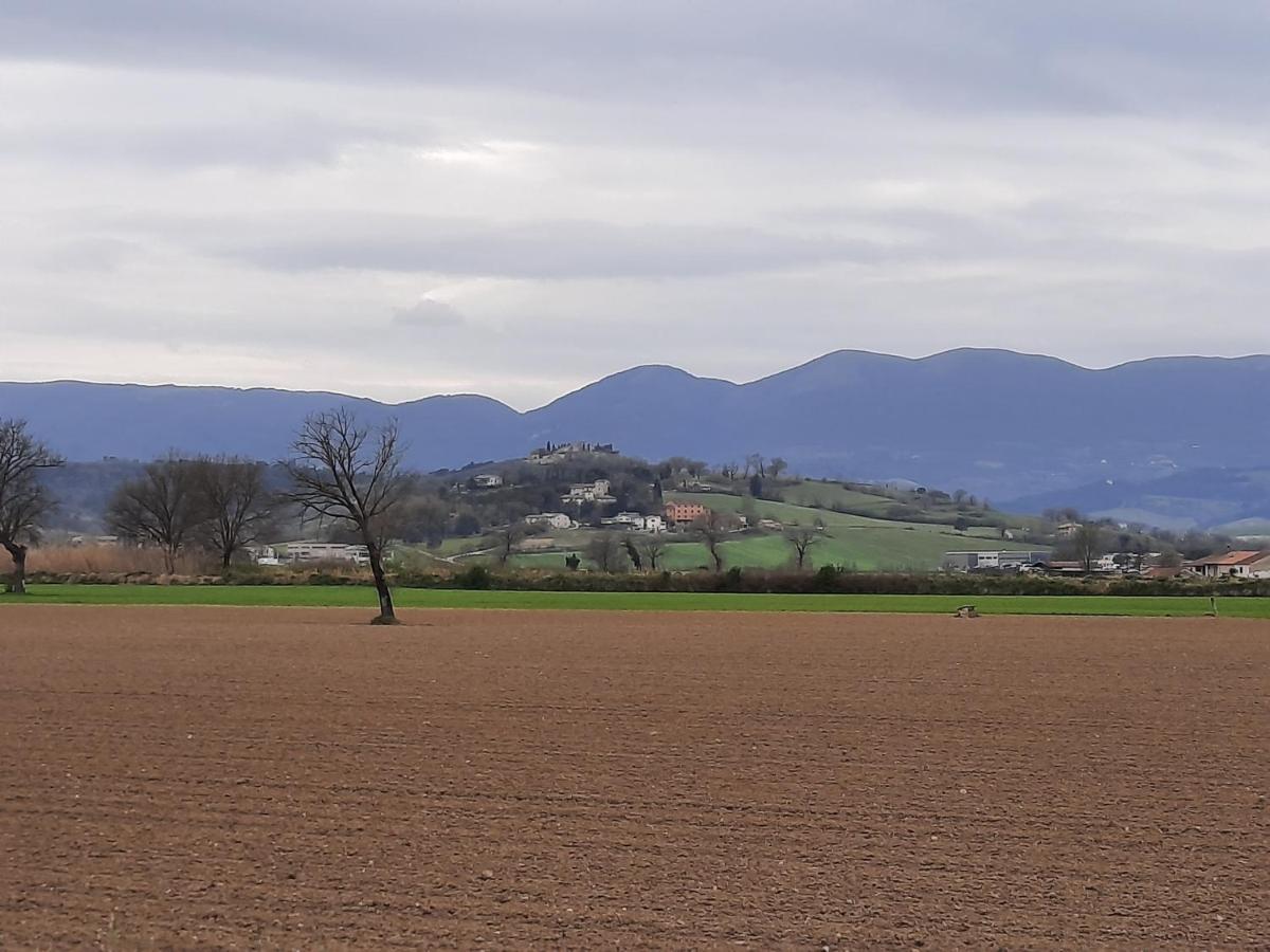 Appartamento Di Claudia In Campagna, Locazione Turistica Spoleto Kültér fotó