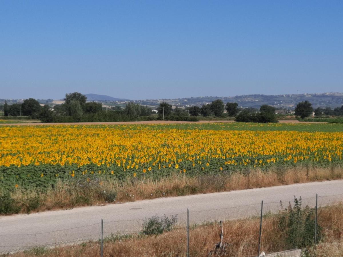 Appartamento Di Claudia In Campagna, Locazione Turistica Spoleto Kültér fotó
