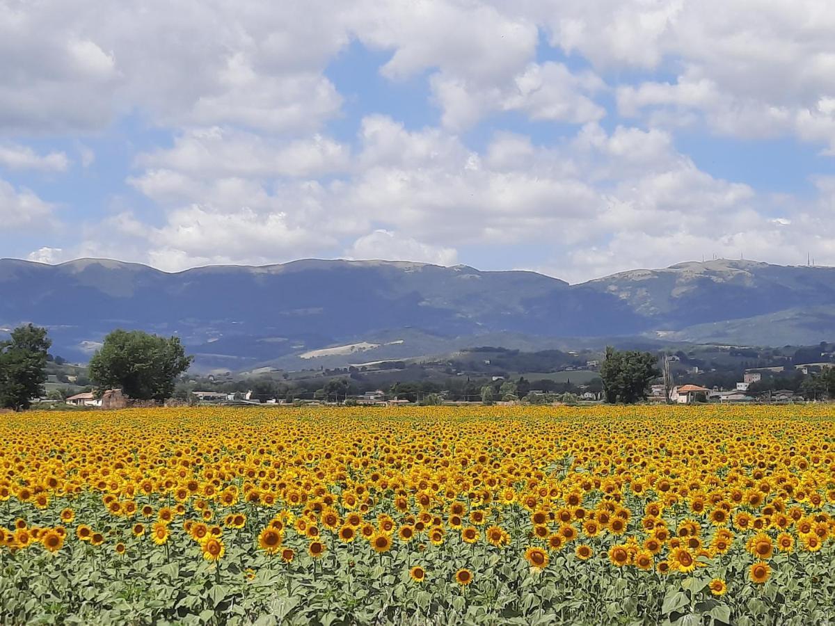 Appartamento Di Claudia In Campagna, Locazione Turistica Spoleto Kültér fotó